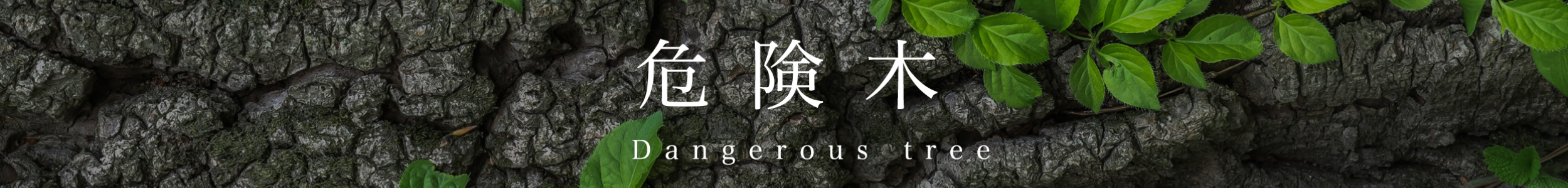 危険木